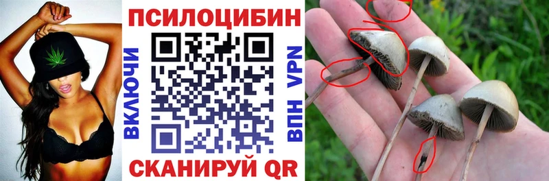 цены наркотик  Грязи  Галлюциногенные грибы Psilocybine cubensis 